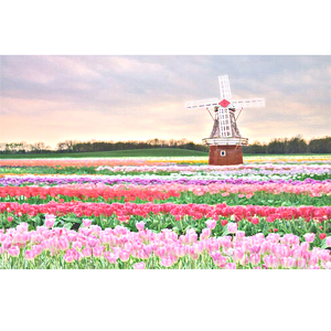 数据项目小龟导航
